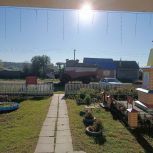 На выборы – на комбайне!