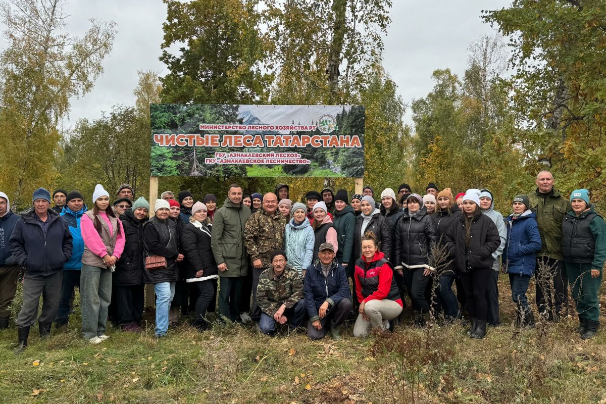Азнакаевцы навели порядок в лесном массиве