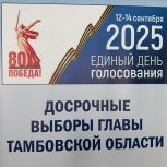 По состоянию на 10:00 явка избирателей Тамбовской области на досрочных выборах Главы Тамбовской области составила 44,44 %