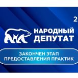 Стартовало голосование за участников конкурса «Единой России» «Народный депутат»