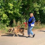 Активисты из Хамовников оказали гуманитарную помощь приюту для животных «Печатники Петс»