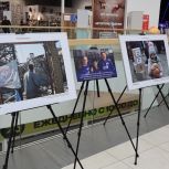 Молодогвардейцы организовали фотовыставку с деятельностью волонтеров на воссоединенных территориях