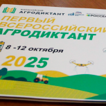 Курские единороссы готовятся к проведению Всероссийского «Агродиктанта»