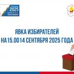 Явка на 15.00 14 сентября 2025 года