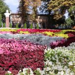 Панков: По саду «Липки» сделаны правильные выводы из критики жителей