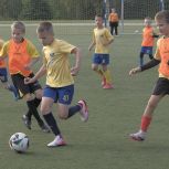 Всероссийский спортивный марафон «Сила России» объединил свыше 45 тысяч участников в Подмосковье