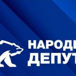 «Единая Россия»: стартовало голосование за лучшие практики работы с избирателями в рамках конкурса «Народный депутат»