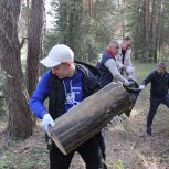 В Егорьевске очистили от мусора 2 гектара в лесном массиве Жукова гора