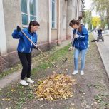 Вешкаймские единороссы провели масштабную экологическую акцию в рамках партпроекта «Чистая страна»