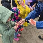 Партийную акцию «Засветись» поддержали муниципалитеты Мурманской области