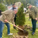 Около Губернского парка на Правом берегу в Калуге заложили Аллею Памяти