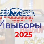 Завершился второй день голосования в Брянской области