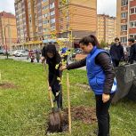 В Медведево прошла экологическая акция по озеленению улицы Сергея Жилина в рамках проекта «Чистая страна»
