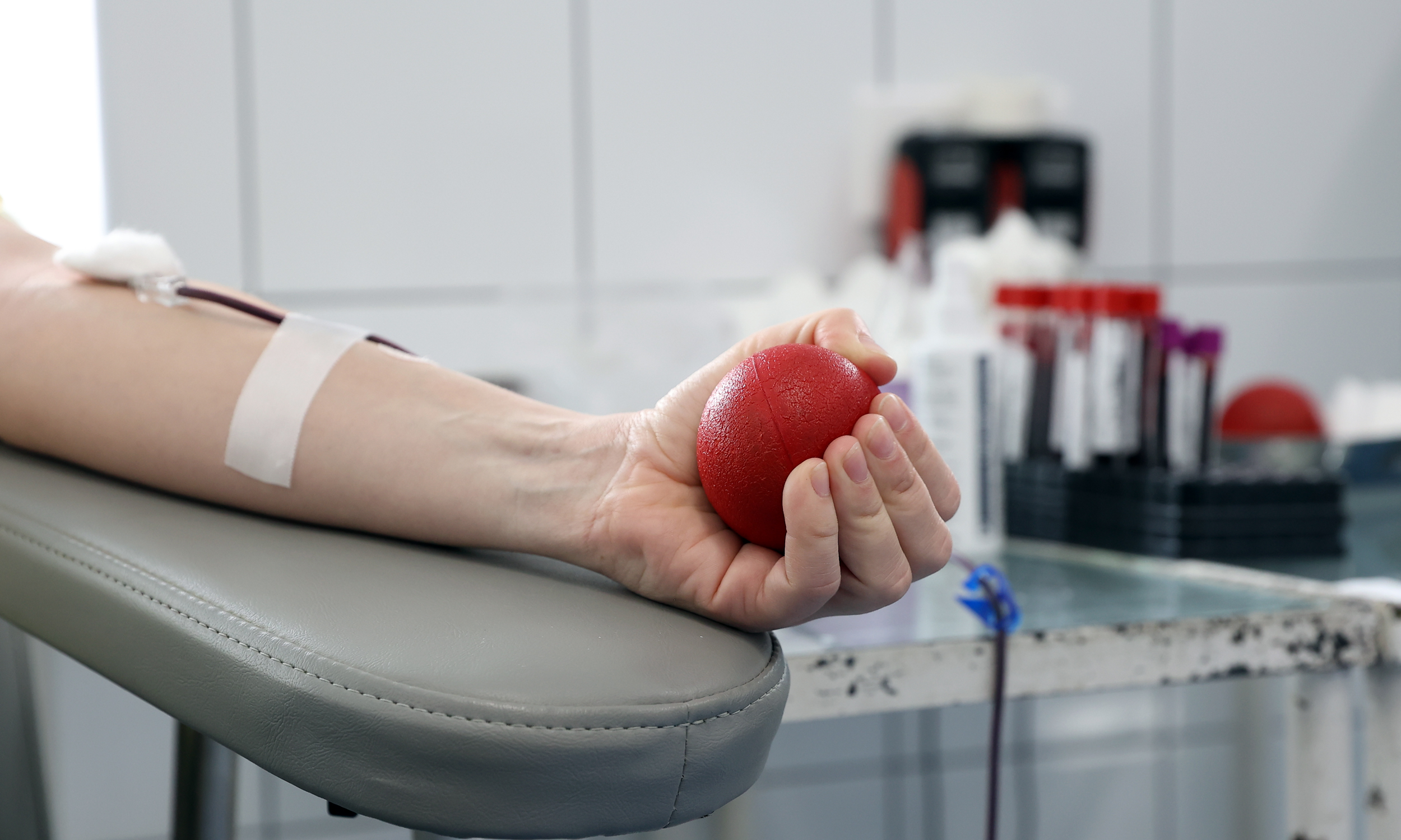 Где сдавать кровь на донорство в спб