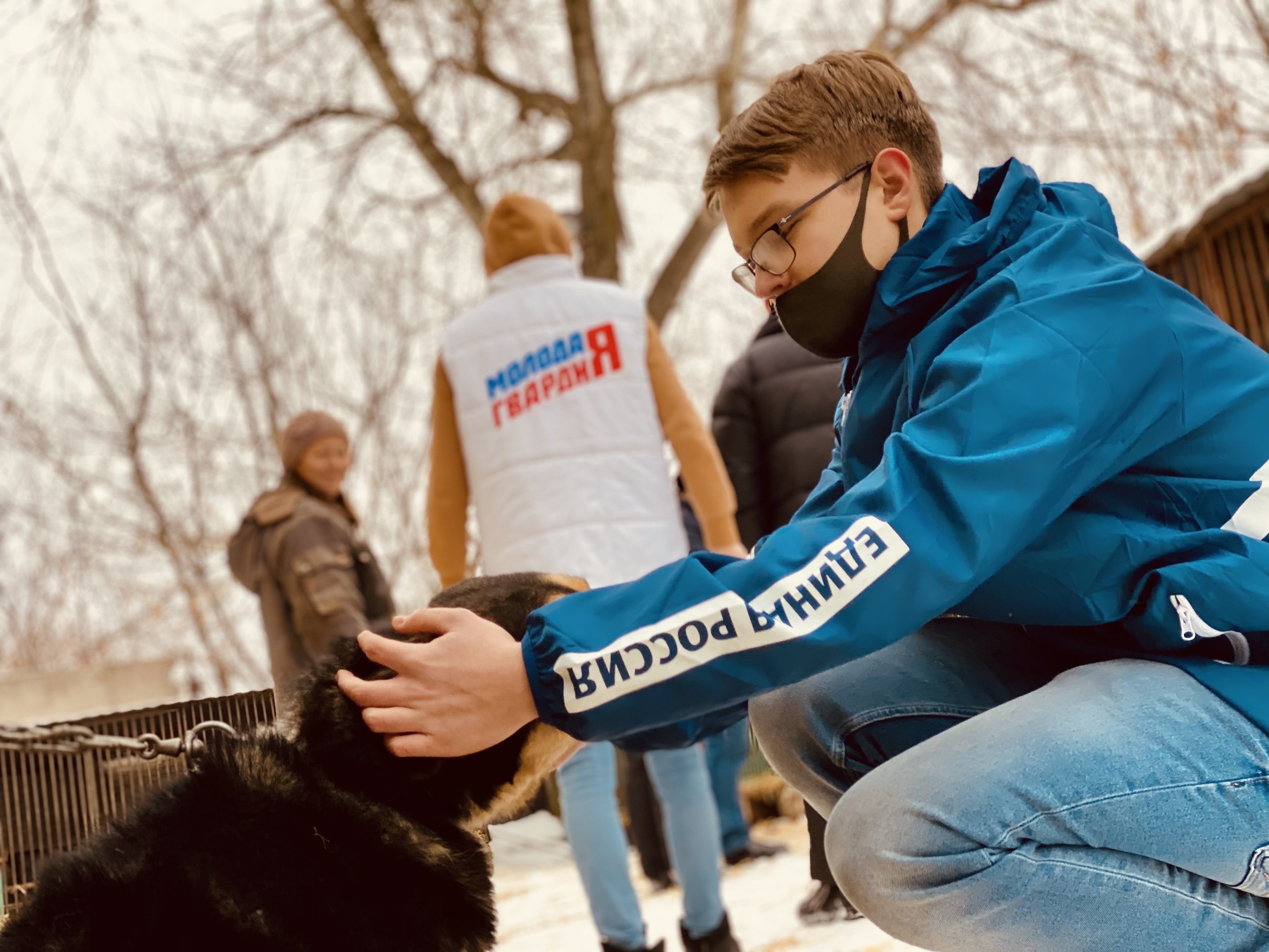 Волонтеры поиск животных. Волонтеры в приюте для животных. волонтеры помогают животным. волонтерство в приюте для животных. бездомные животные волонтеры.