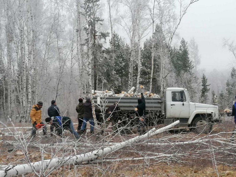 Заготовка дров для семей мобилизованных в Аларском районе