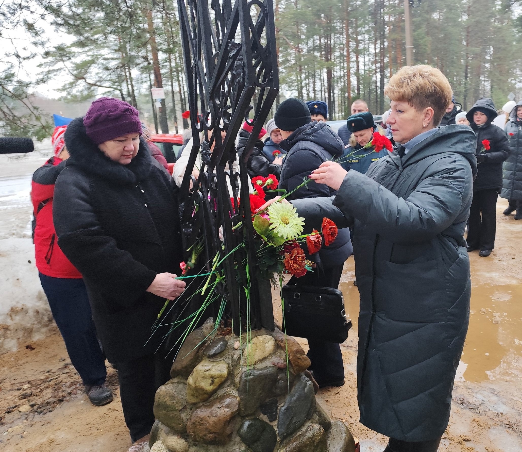 Вологодская область