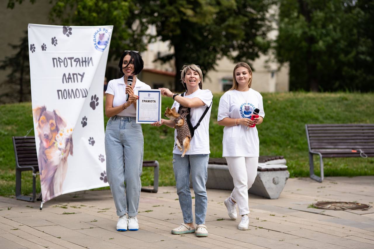 Единороссы центра столицы организовали выставку собак из приютов Москвы и  области