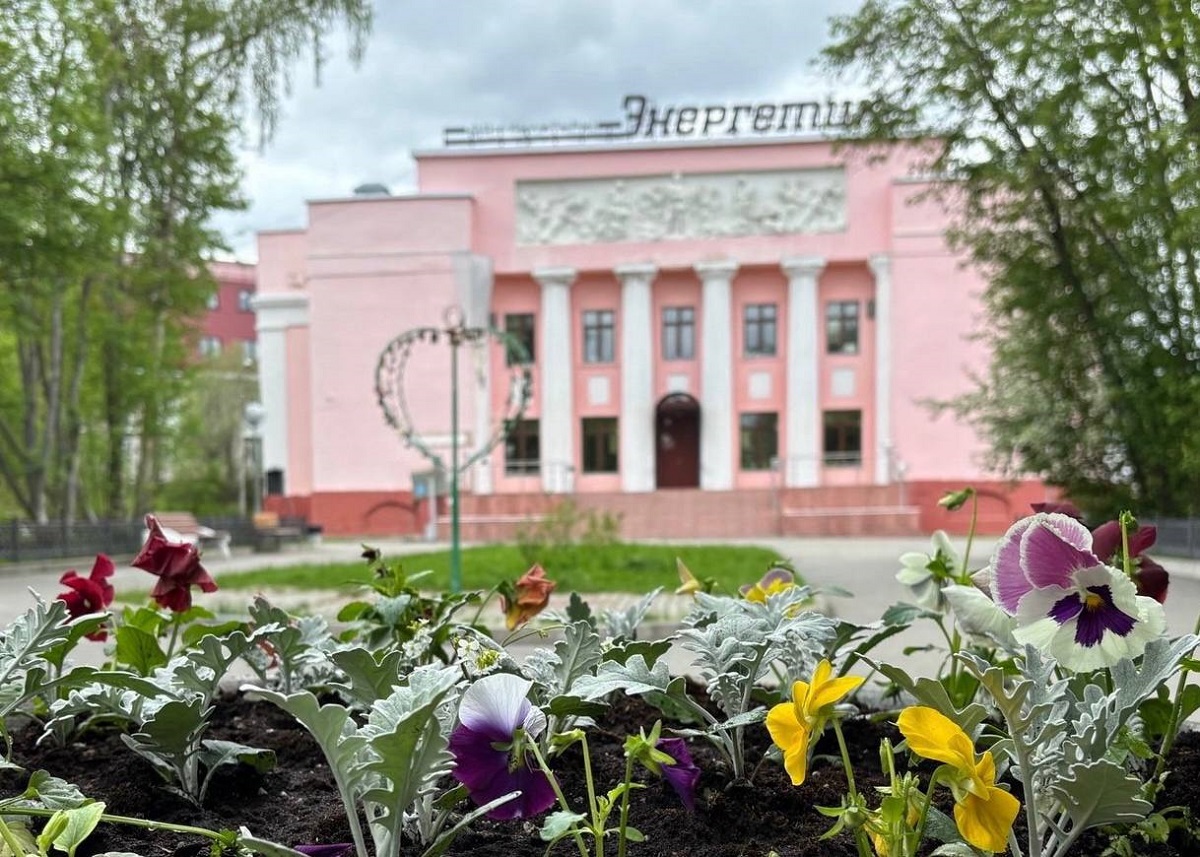 Кольские единороссы провели акцию по озеленению поселка Мурмаши

Мероприятие приурочили ко Дню России