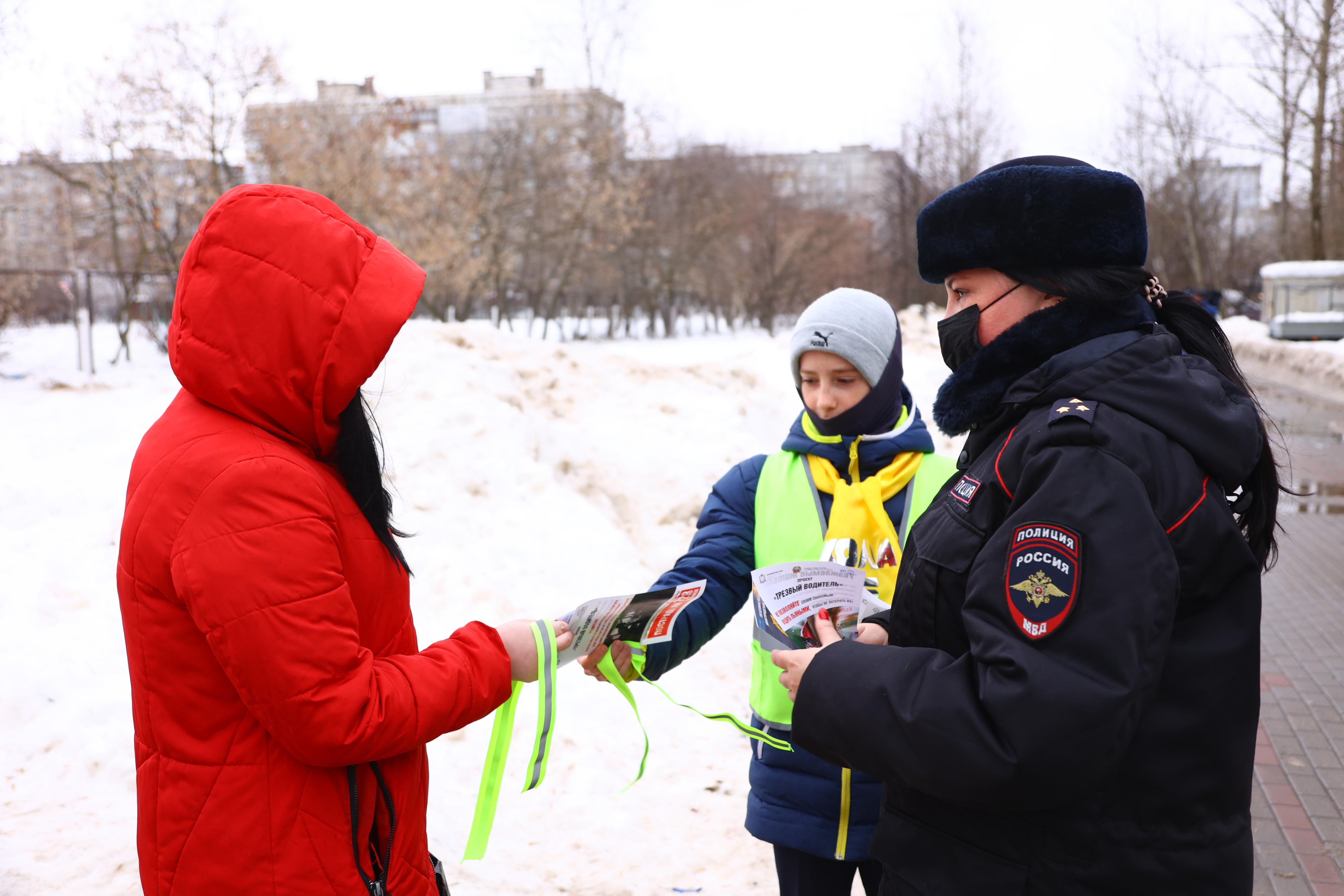 Пилотный проект нижегородская область