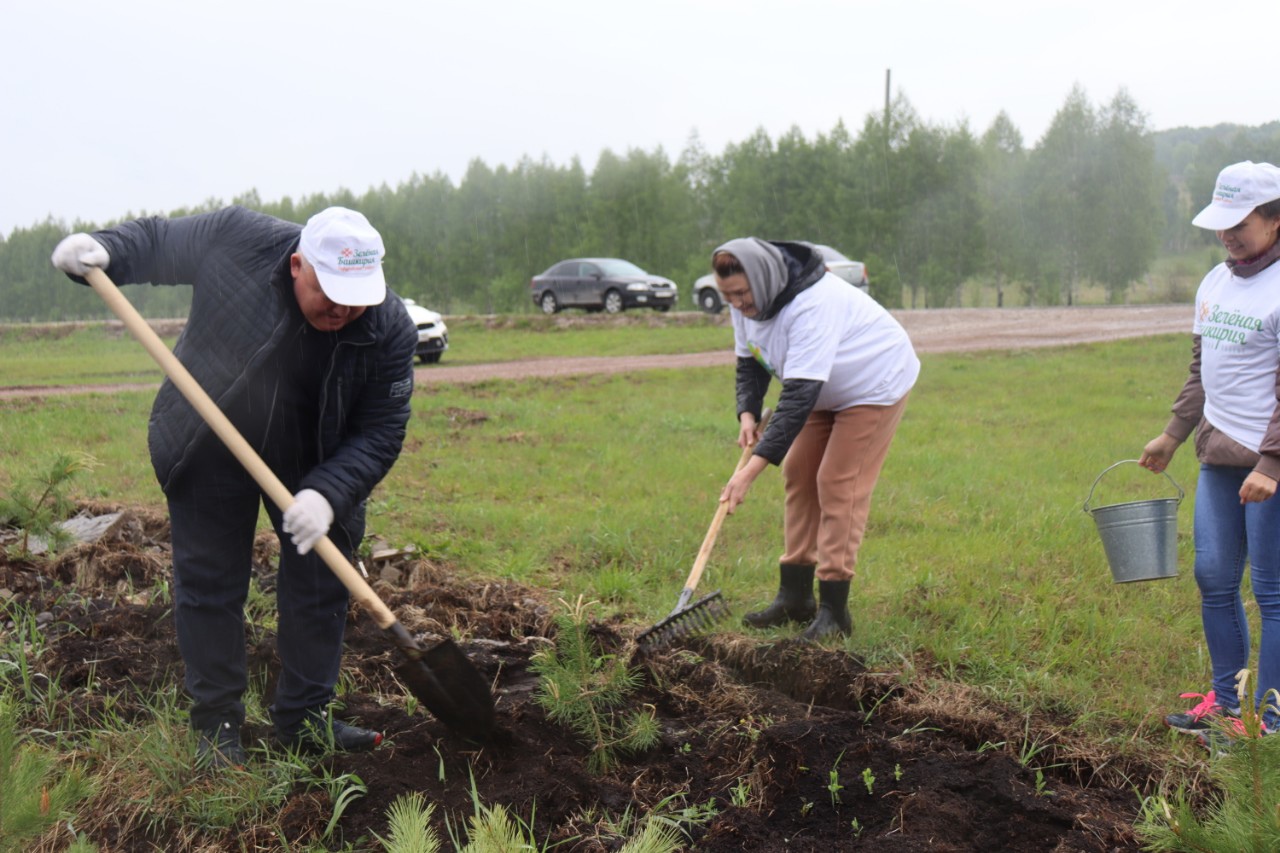 Погода в гафурийском районе деревня кургашла. Погода в Гафурийском районе.