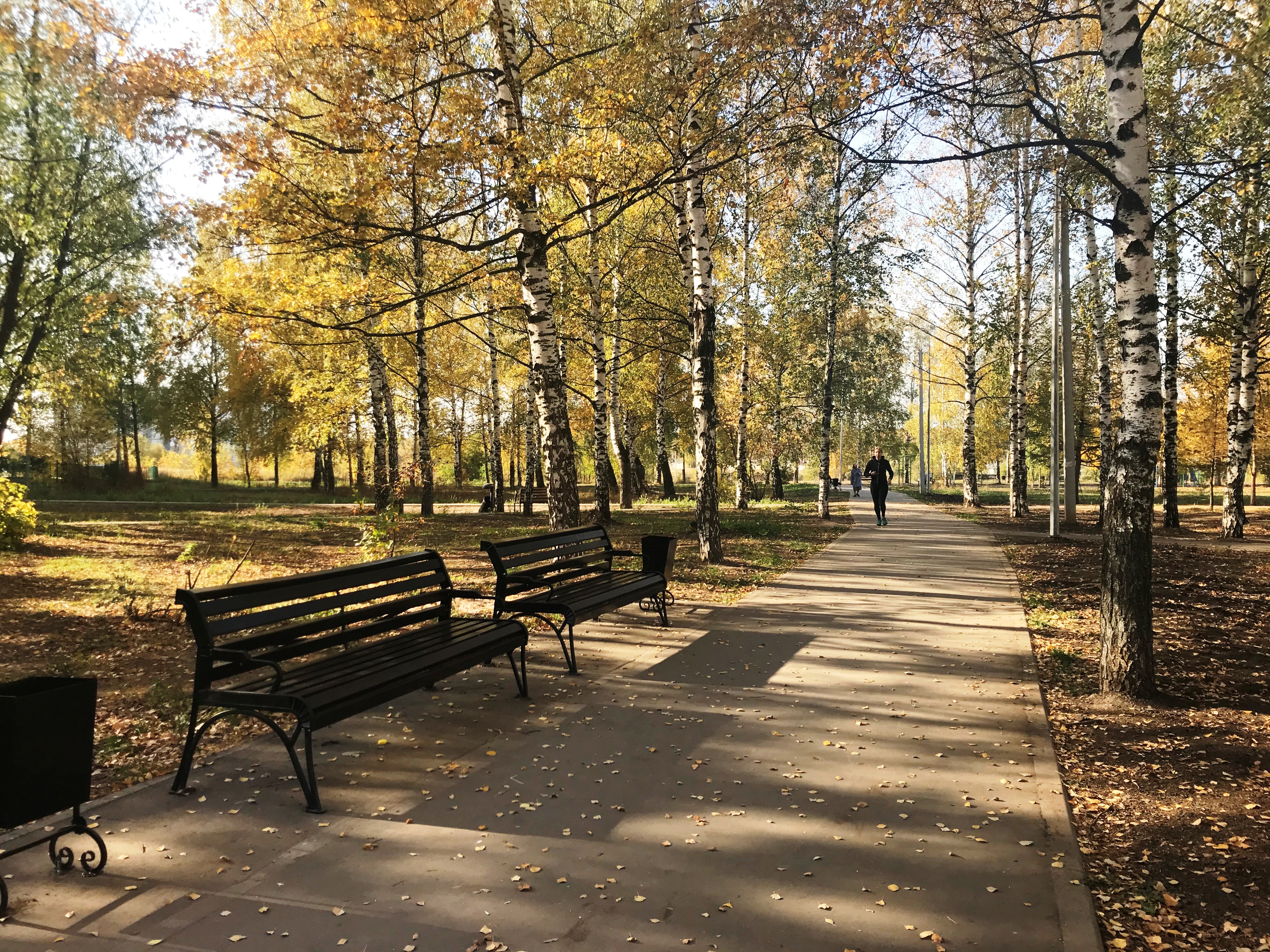 парк гагарина в рязани старые