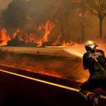 В Волгоградской области из-за природных пожаров объявлена чрезвычайная ситуация