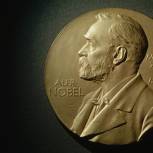 Нобелевский комитет не станет объявлять нового лауреата в области медицины