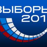 Наблюдатели от СНГ: Выборы в России соответствовали законодательству 