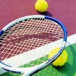 Шарапова вышла в полуфинал на Открытом чемпионате Австралии по теннису 