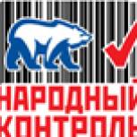 «Народный контроль» в действии