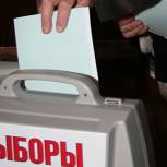 В Кемеровской области явка избирателей составляет 30,34% 