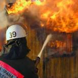 Четыре павильона охвачены пожаром на сельскохозяйственном рынке в Москве