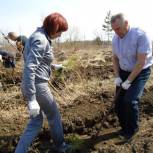 "Единая Россия" приняла участие в посадке саженцев на Игнатьевском шоссе