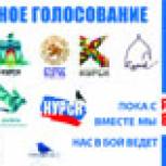В Курске стартовало голосование за бренд города