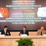 «Опыт  Воронежской области мы будем тиражировать на остальные регионы»