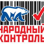 В Ульяновской области продолжаются рейды «Народного контроля»