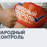 Партийцы контролируют ликвидацию последствий ЧС в Челябинской области