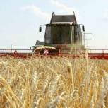 Цены на зерно стабилизируются