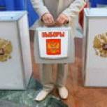 На пост депутата Курской Облдумы претендуют пять кандидатов