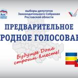 На Дону стартовало народное голосование «Единой России» и Народного фронта