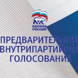 Предварительное голосование прошло в Киренске