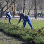Псковские единороссы приняли участие в едином дне уборки города