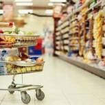 Первая проверка срока годности продуктов питания в ярославских магазинах завершена 