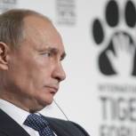По инициативе Путина создан Фонд по охране амурских тигров