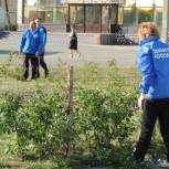 Баганские партийцы провели субботник накануне Дня села