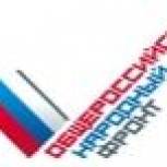 ОНФ подал в Минюст документы для регистрации