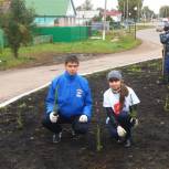 Апастовские единороссы посадили деревья
