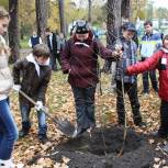 Школьники вышли на посадку деревьев