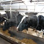 Решение проблем сельского хозяйства области на контроле вологодских единороссов